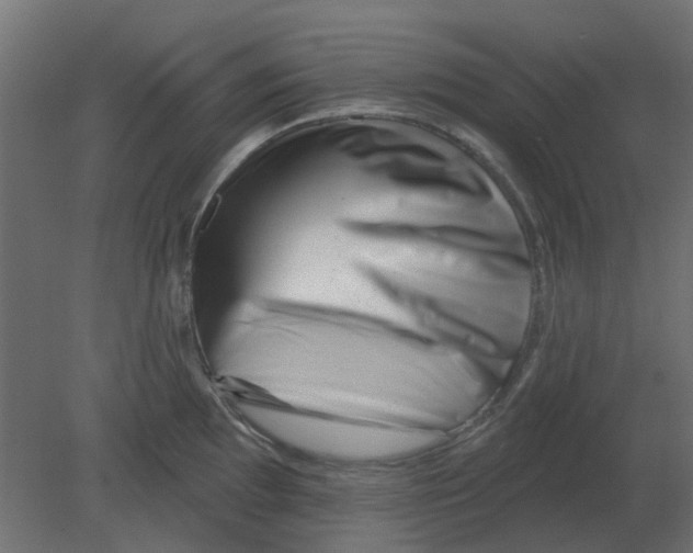 X0000080791097200701122141