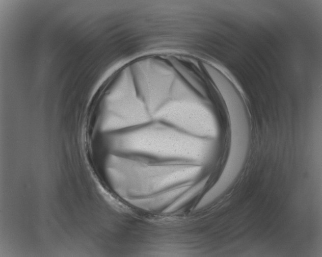 X0000080791101200701122141