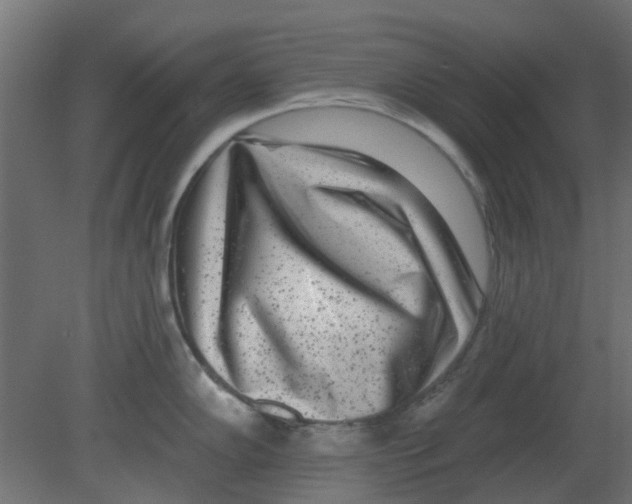 X0000080791102200701122141