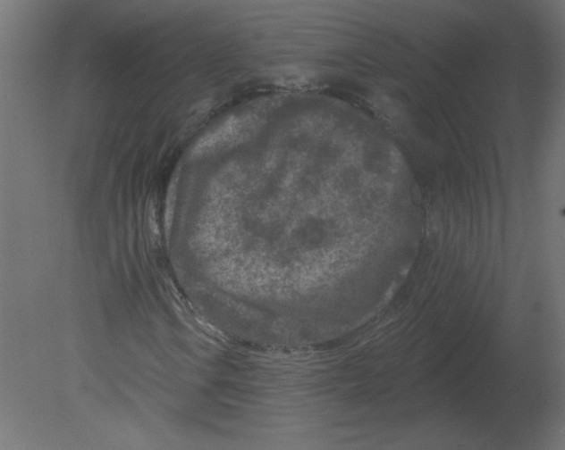 X0000080791106200701122140