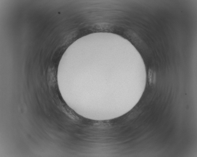 X0000080791107200701122140