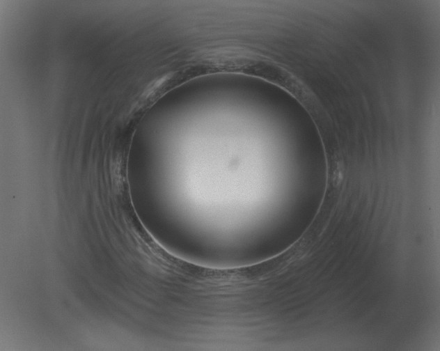 X0000080791108200701122140
