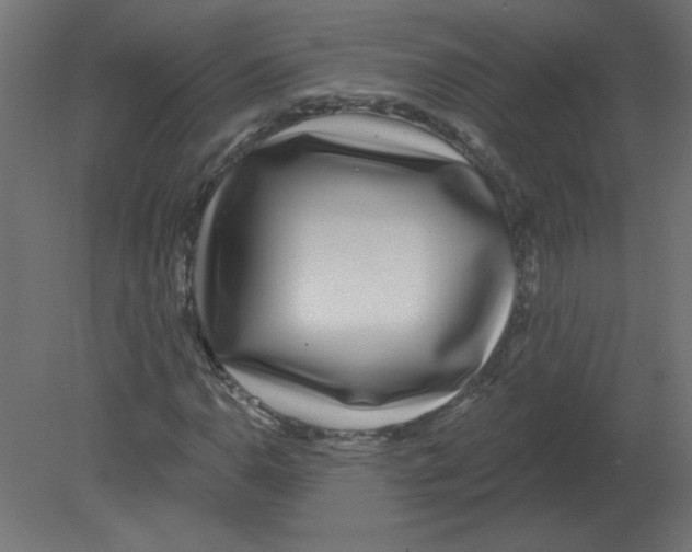 X0000080791110200701122140