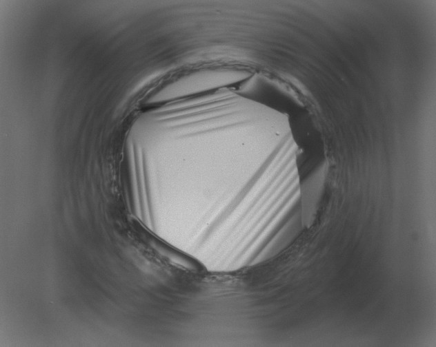 X0000080791112200701122140