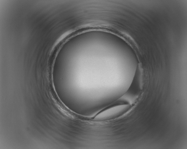 X0000080791114200701122140