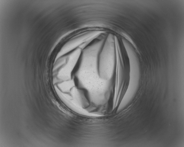 X0000080791116200701122140