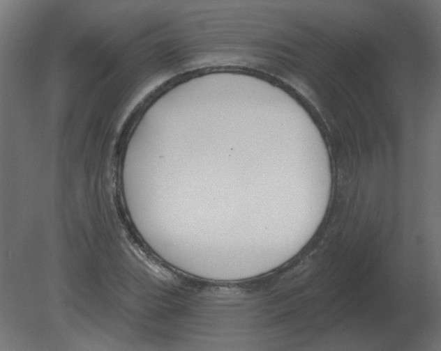 X0000080791119200701122140