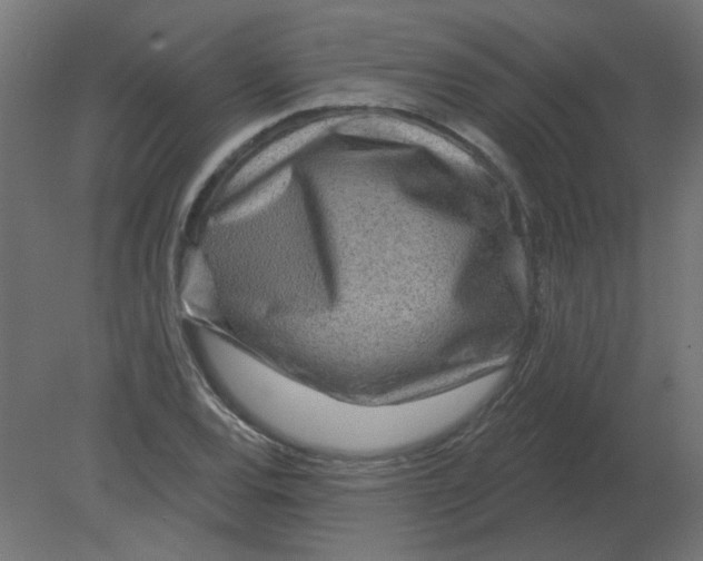 X0000080791120200701122140