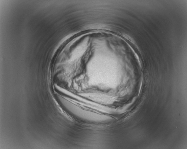 X0000080791125200701122141