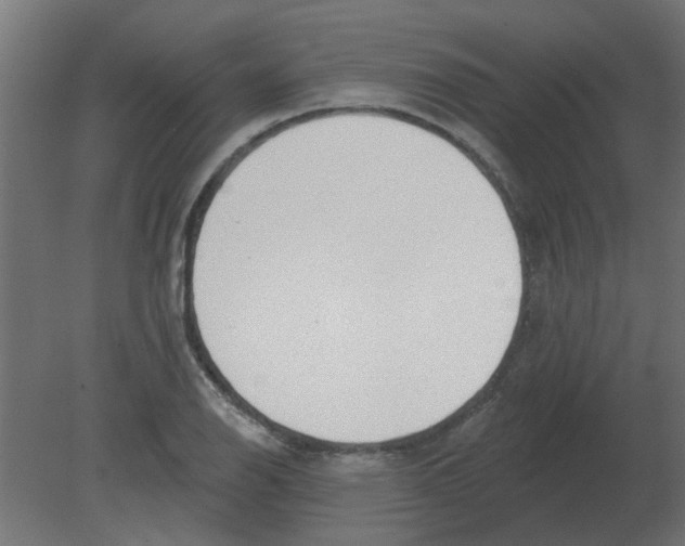 X0000080791126200701122141