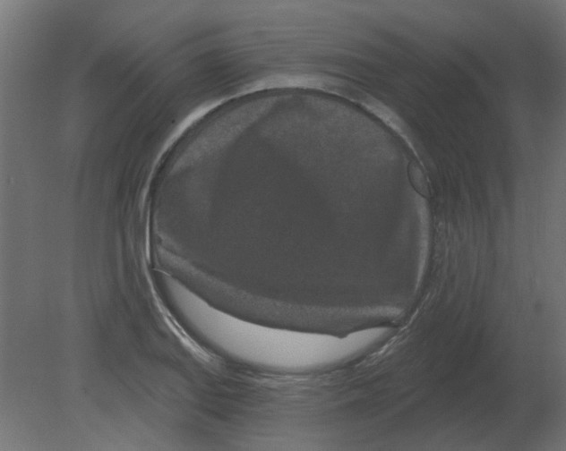 X0000080791127200701122141