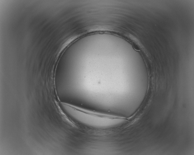 X0000080791129200701122141
