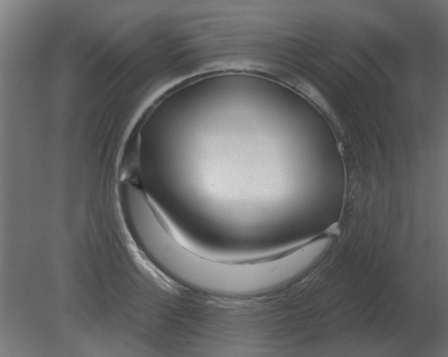 X0000080791132200701122141