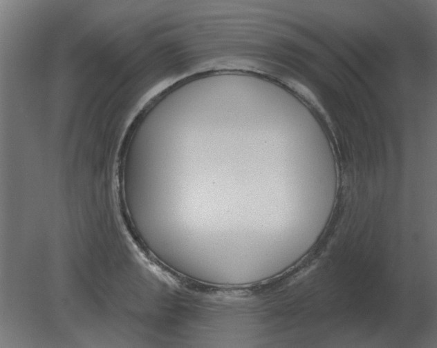 X0000080791133200701122141