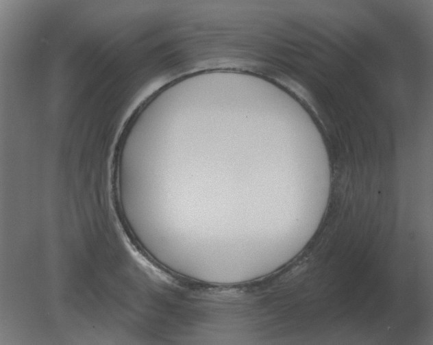 X0000080791135200701122141