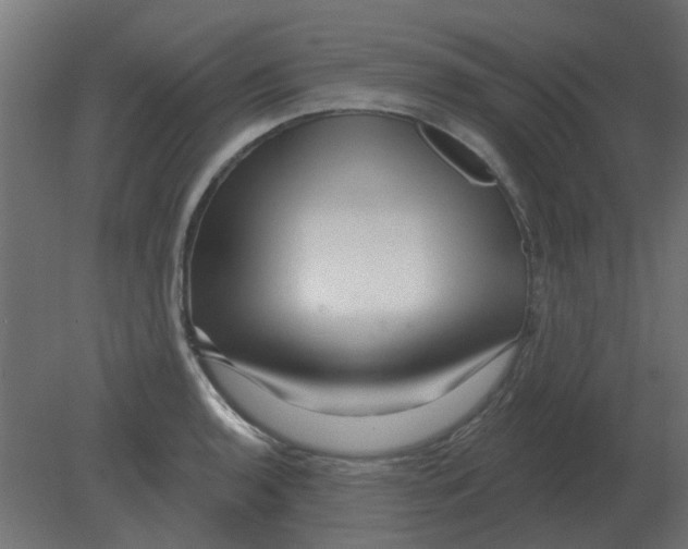 X0000080791136200701122141