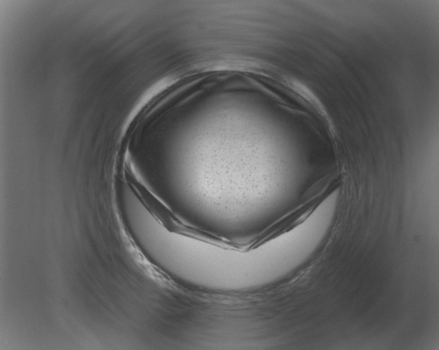 X0000080791138200701122141
