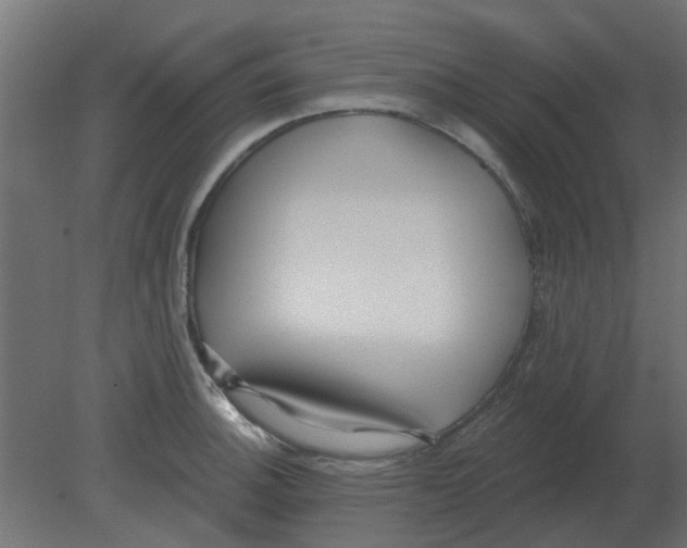 X0000080791140200701122141