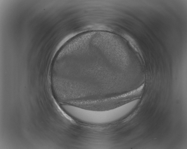 X0000080791141200701122141