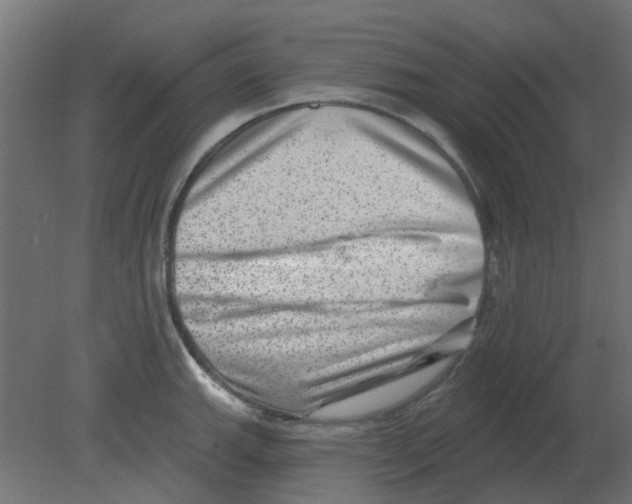 X0000080791143200701122141