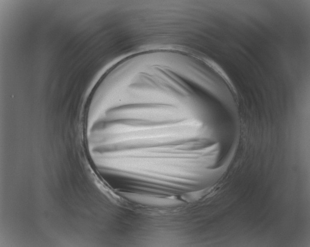 X0000080791148200701122141