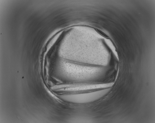 X0000080791151200701122141