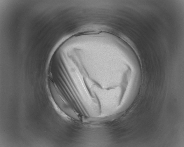 X0000080791152200701122141