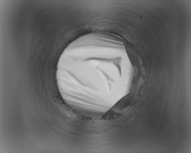 X0000080791153200701122140