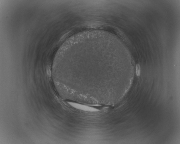X0000080791155200701122140