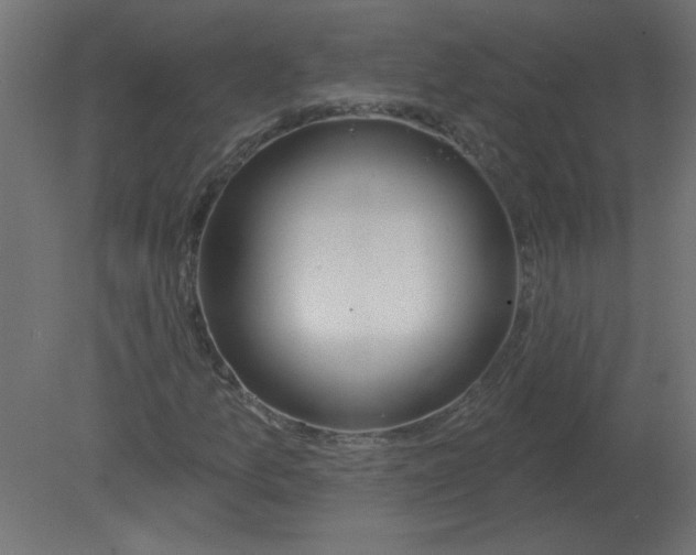 X0000080791157200701122140