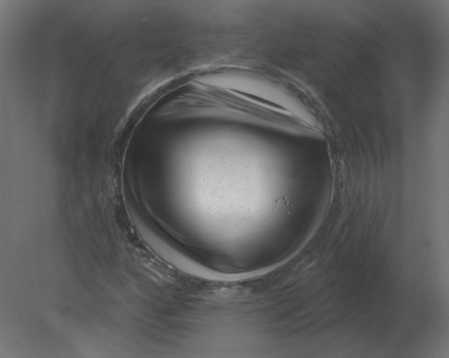 X0000080791160200701122140
