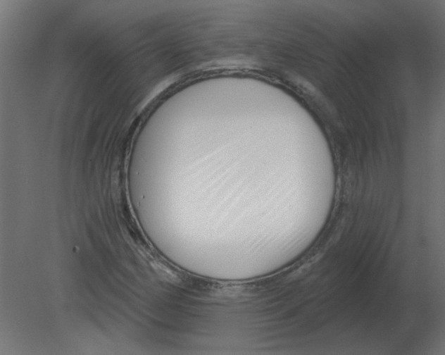 X0000080791162200701122140