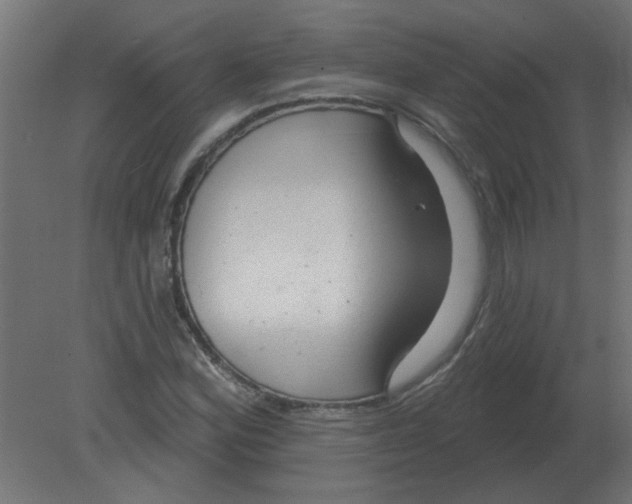 X0000080791164200701122140