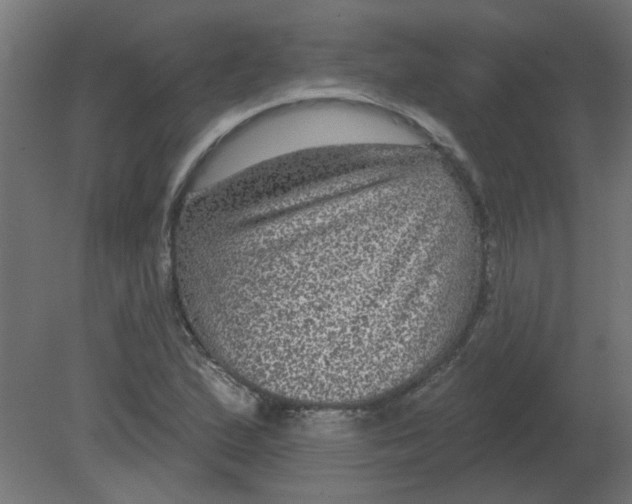 X0000080791167200701122140