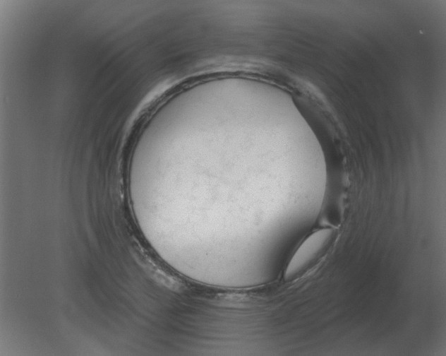 X0000080791172200701122140