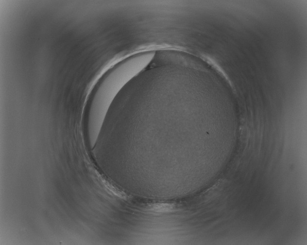 X0000080791173200701122140