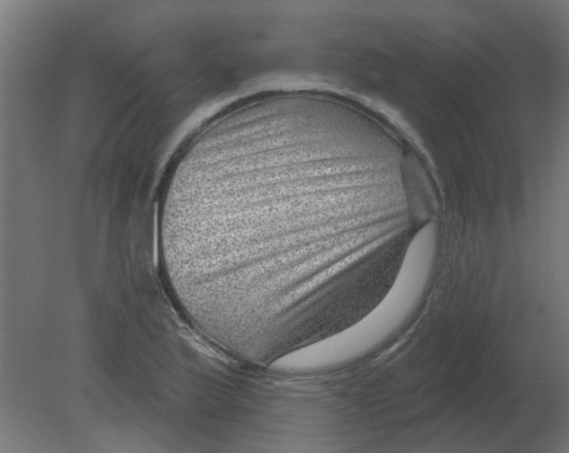 X0000080791175200701122140