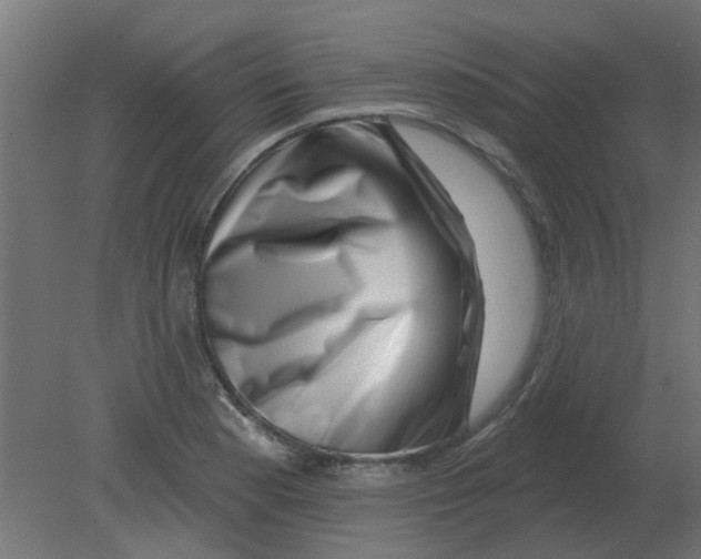 X0000080791177200701122140