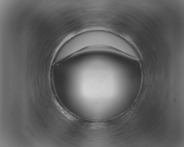 X0000080791181200701122140