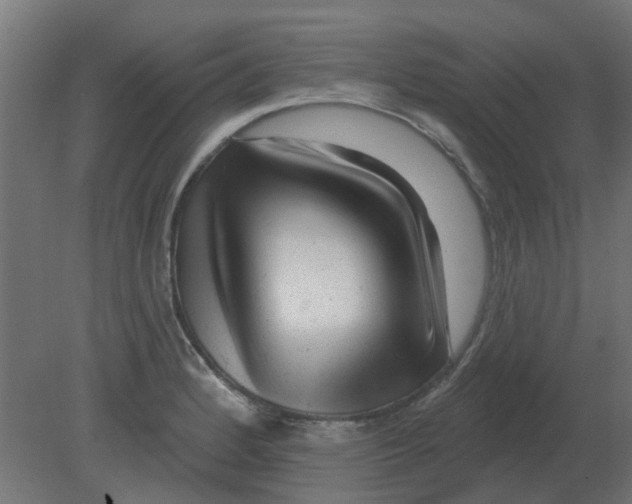 X0000080791184200701122140
