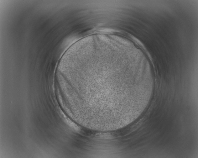 X0000080791194200701122139
