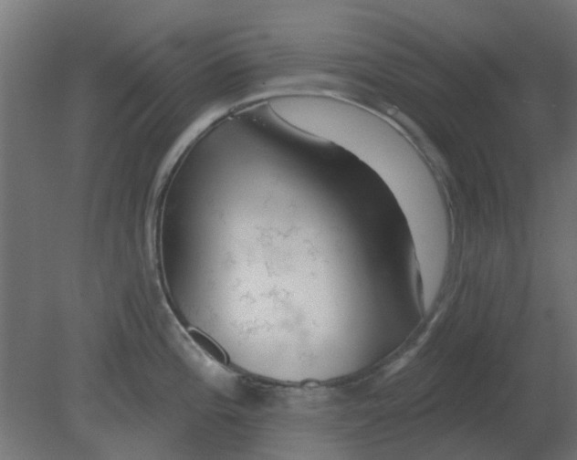 X0000080791196200701122139