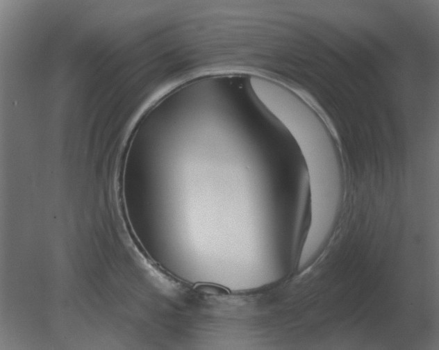 X0000080791197200701122139