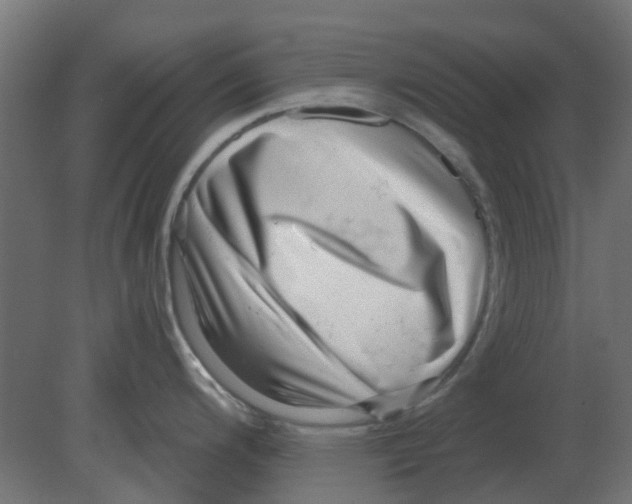 X0000080791200200701122139