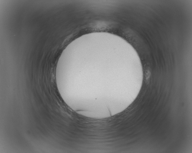 X0000080791204200701122139