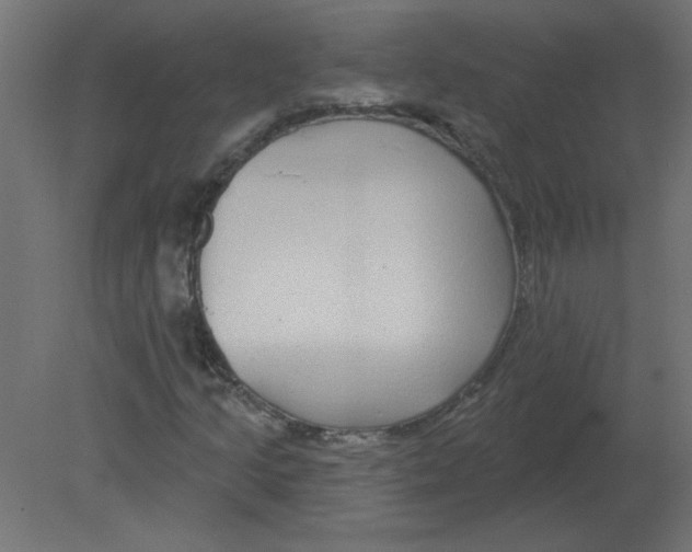 X0000080791205200701122139