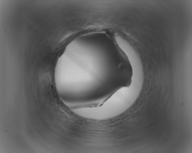 X0000080791206200701122139