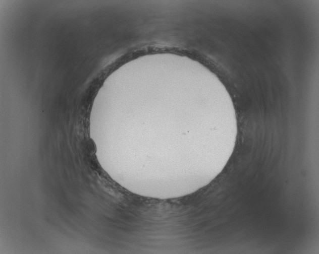 X0000080791207200701122139