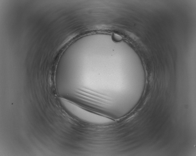 X0000080791209200701122139