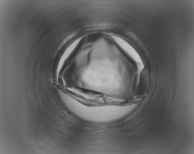 X0000080791210200701122139